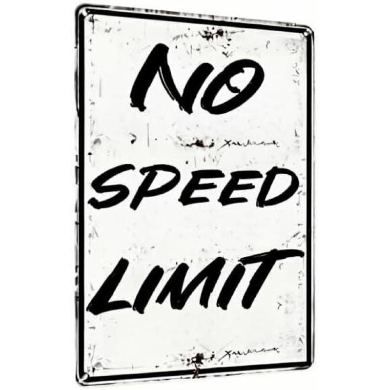 Rustic 'No Speed Limit' Metal Sign – Perfect for Car Enthusiasts and Boys’ Rooms
