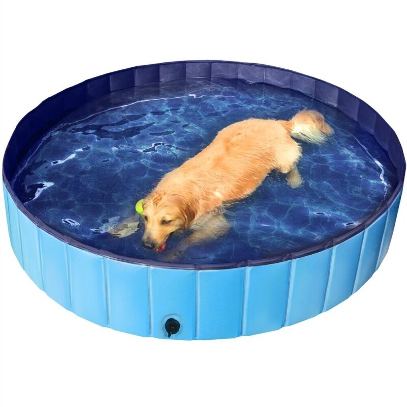 Alden Design 63-inch Foldable Pet Swimming Pool - Durable and Long-lasting