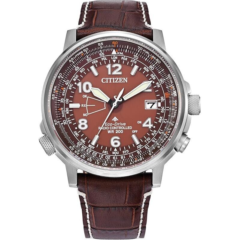 Citizen Promaster Sky Perpetual World Time Watch - Brown Dial, Brown Leather Strap