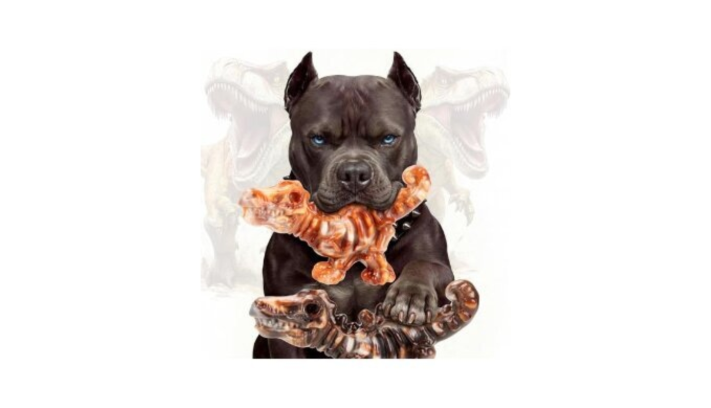 ChienBox 2 Pack Indestructible Dog Chew Toys for Aggressive Chewers