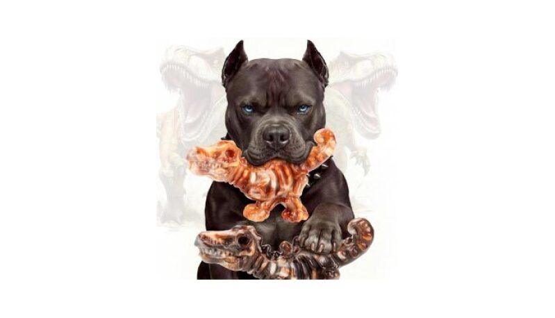 ChienBox 2 Pack Indestructible Dog Chew Toys for Aggressive Chewers