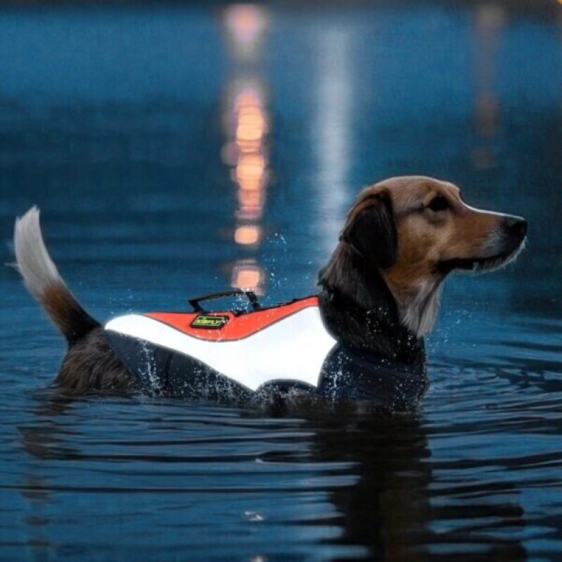 High Buoyancy Dog Life Jacket with Rescue Handle - 74% Off