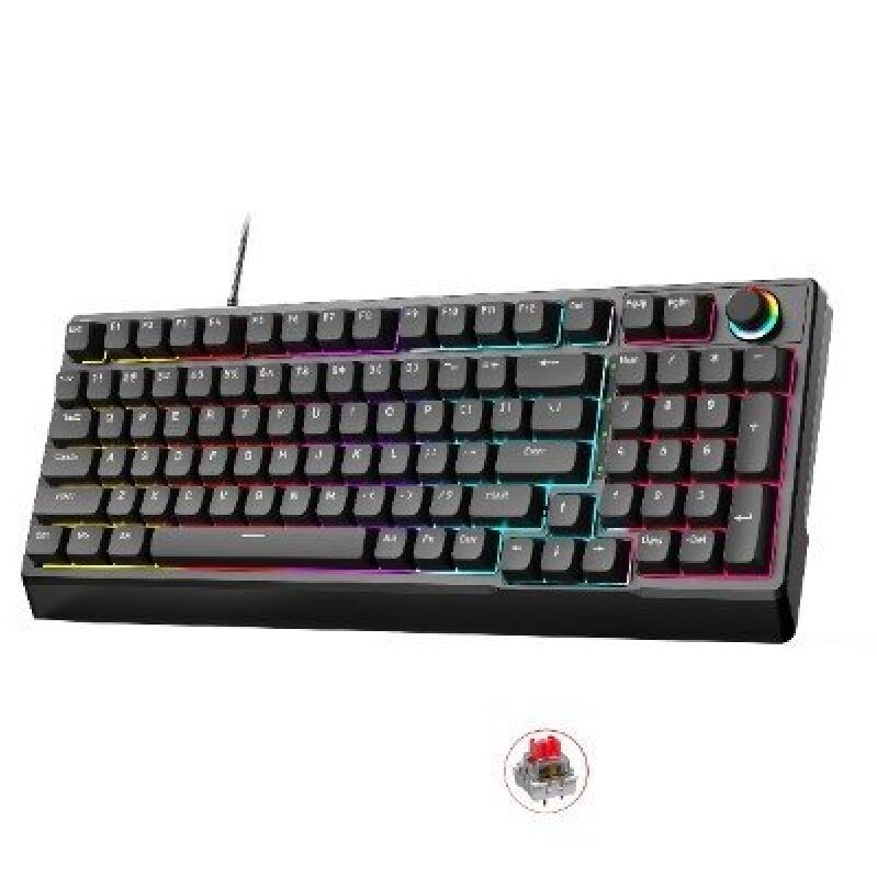 98-Key Wired Mechanical Gaming Keyboard with RGB Backlighting