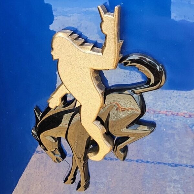 Bronco Sasquatch Emblem Overlay Decal - Enhance Your Ride's Look with 65% Off