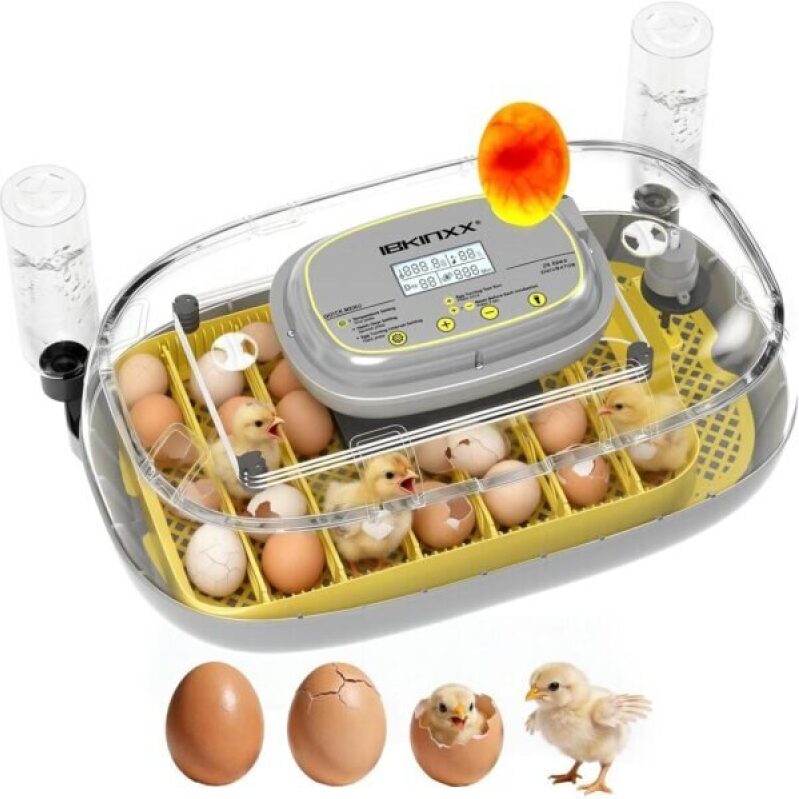 Efficient 24-Egg Capacity Incubator -54% Off