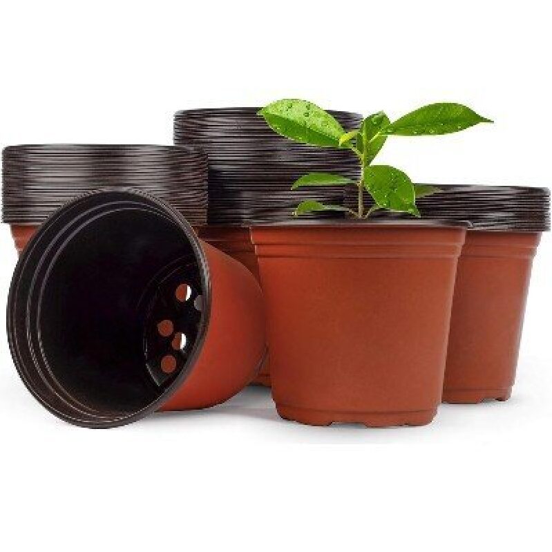 100 Pack 6 Inch Nursery Pots - Perfect for Seedlings