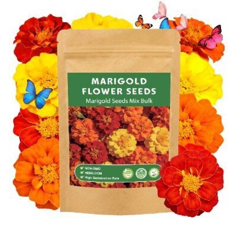 Premium Marigold Flower Seeds Mix - 12000 Seeds for Vibrant Garden