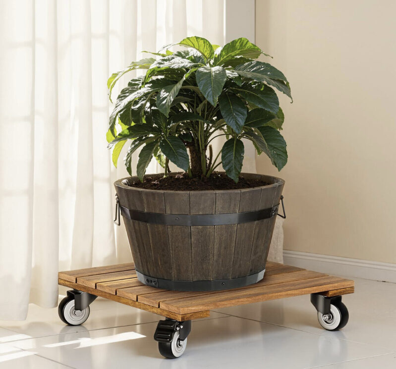 Discounted Wooden Plant Caddy with Wheels - Perfect for Indoor and Outdoor Plants