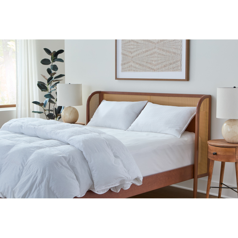 2-pack Beyond Down Bed Pillows King