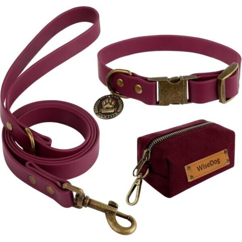 Waterproof Dog Collar and Leash Set - 62% Off