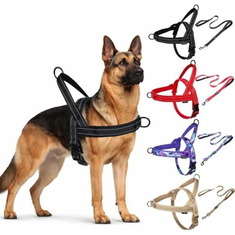 Wuhnesd No Pull Dog Harness and Leash Set - Breathable Mesh & Quick Fit for Medium Large Dogs