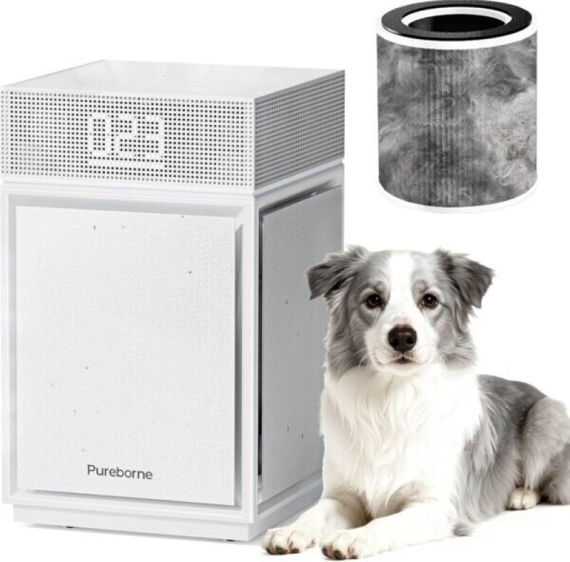 Home Air Purifier for Large Bedrooms - 74% OFF