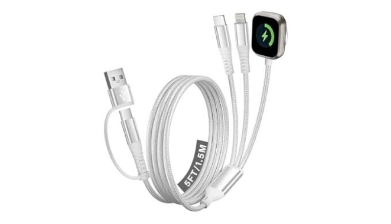 Dual Type-C 4 in 2 Multi Charging Cable