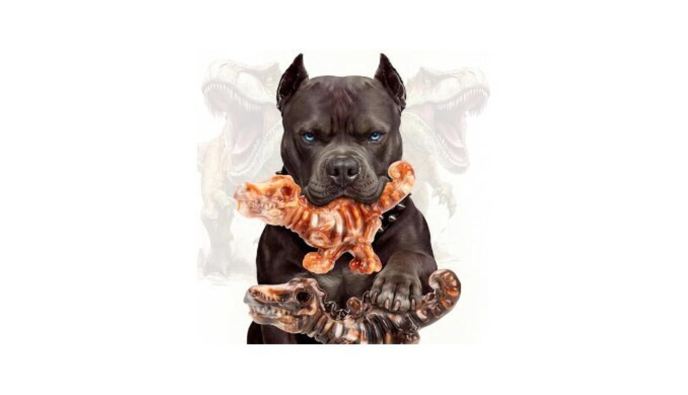 Durable Dog Chew Toys for Aggressive Chewers - XL Size