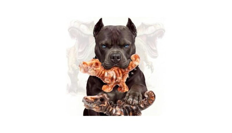 Durable Dog Chew Toys for Aggressive Chewers - XL Size