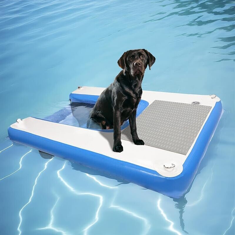 Inflatable Dog Water Ramp - Perfect for Poolside Fun