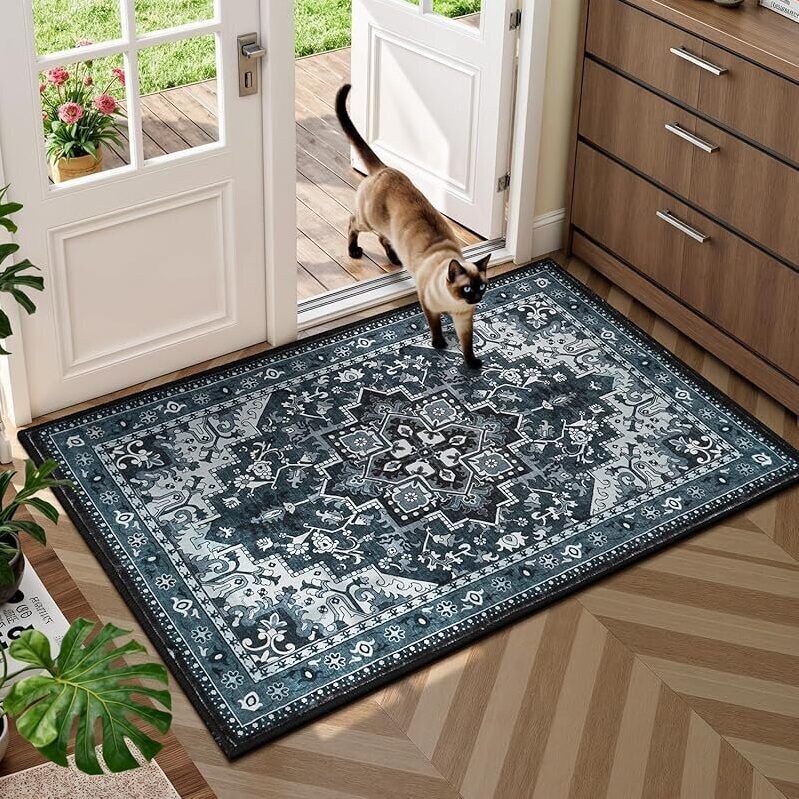Rugflix 2ft x 3ft Washable Entryway Rug with Rubber Backing