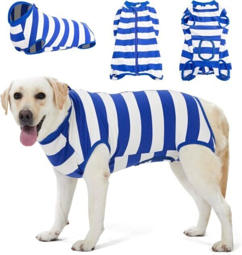 LovinPet Calming Dog Recovery Suit - 40% Off