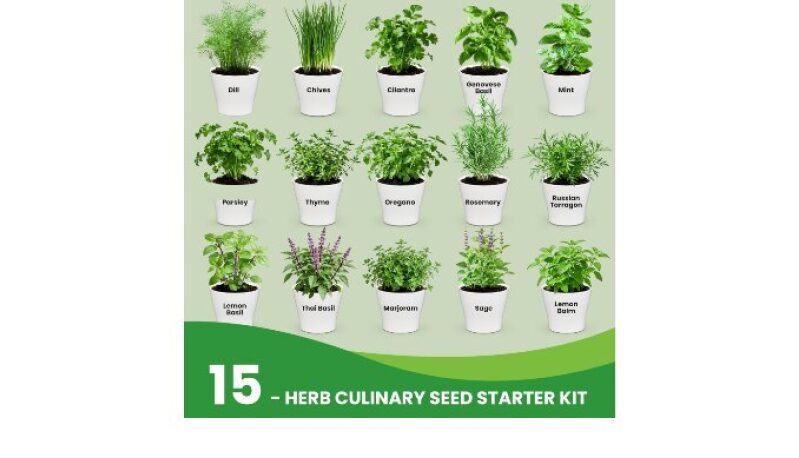 Complete Herb Garden Starter Set with Gift Packaging for Family