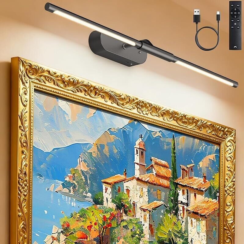 Glandan 24-Inch Rechargeable Wireless Picture Light