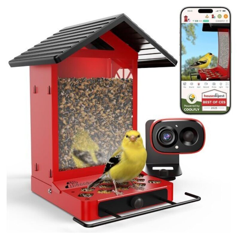Smart Solar Bird Feeder with Camera on Sale for Prime Members