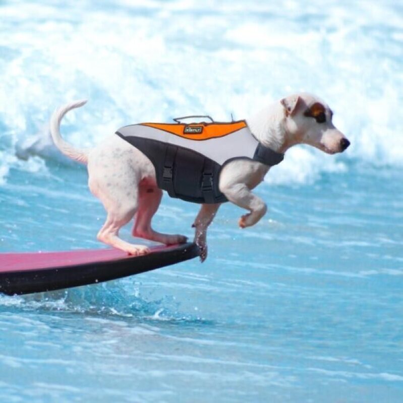 High Buoyancy Dog Life Vest with Rescue Handle - 50% Off