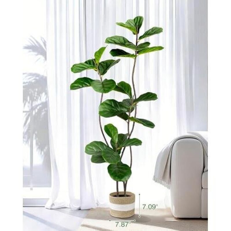 Lifelike Piano Leaf Ficus 40% OFF - A Deal You Can't Miss