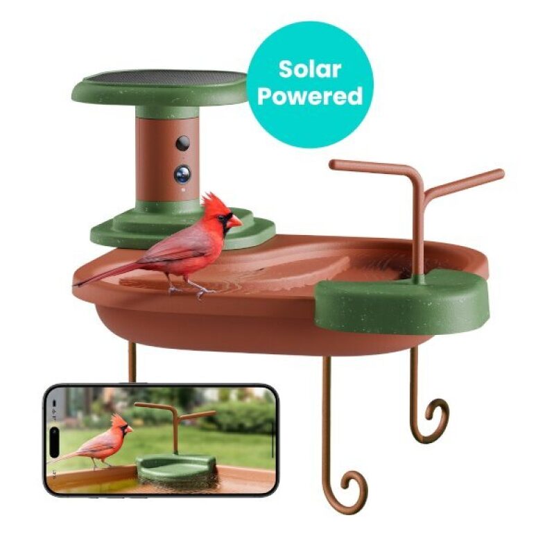 Birdfy Smart Bird Bath with Solar Camera - Save $34.46 at Walmart