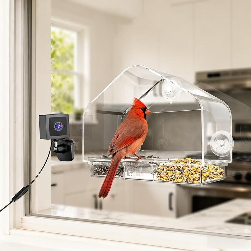 Smart Window Bird Feeder with 2K Camera for Birdwatching