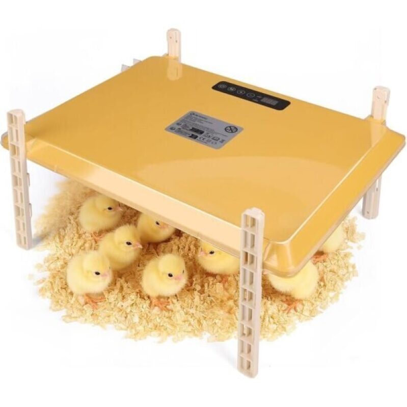 Smart Chicken Brooder Heater - 50% Discount