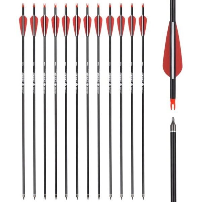 28 Inch Carbon Arrow Hunting Arrows - 100 Grain Tips, Pack of 12