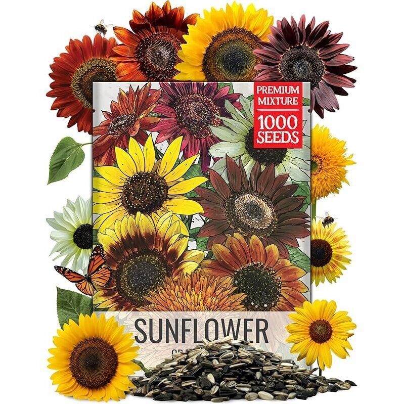 1000 Sunflower Seeds - Premium Mixture for a Colorful Butterfly Garden