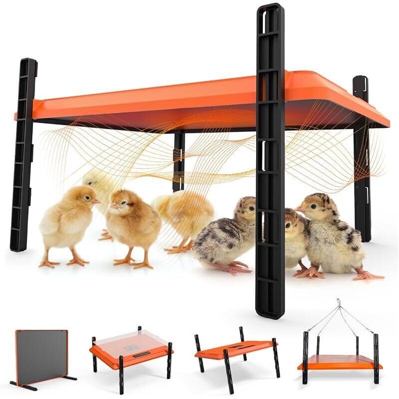 Homcolorful Brooder Plate for Chicks: Reliable Temperature Control
