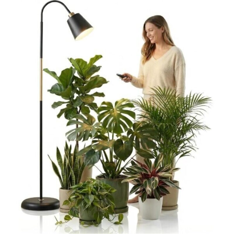 TheOneGrow Standing Grow Light - 50% Off