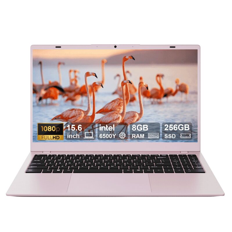 Pink 15.6-inch Laptop with Intel Pentium Gold 6500Y - Great for Daily Use