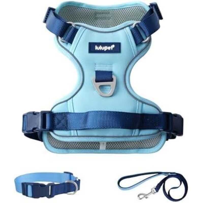 Affordable Blue Dog Harness and Leash Set - Perfect for Pet Walks