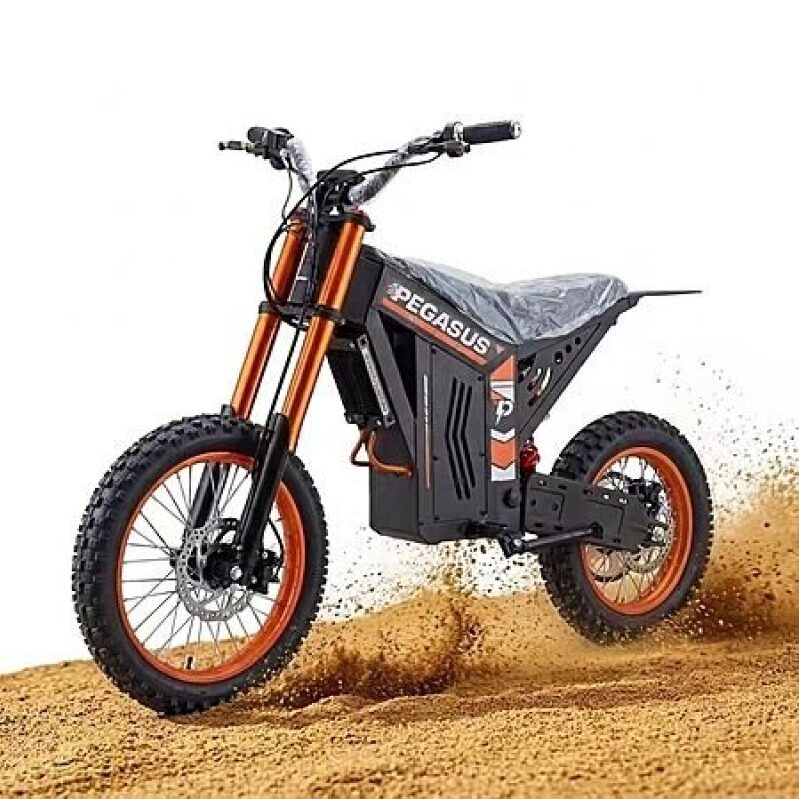 Powerful Pegasus 2000W Mountain E-Bike on Sale