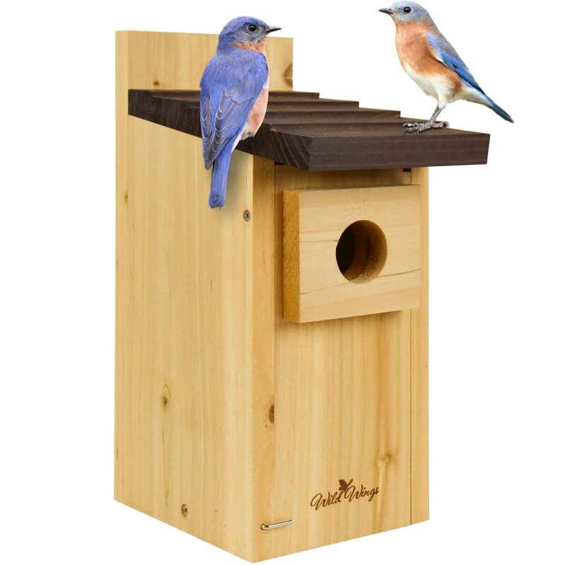 WWCH3 Cedar Blue Bird Box House - Ideal for Bluebirds