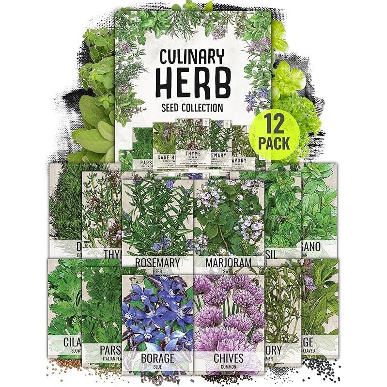 12-Pack Herb Seeds Variety Pack - Cultivate Your Own Kitchen Garden