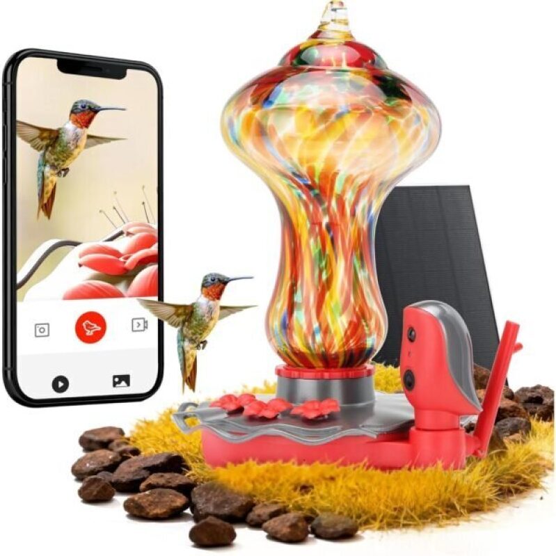 Smart Hummingbird Feeder with Camera, Solar Powered, 50% Off