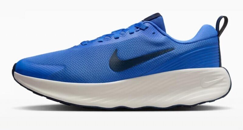 Nike Promina Shoes - Comfortable and Durable Footwear