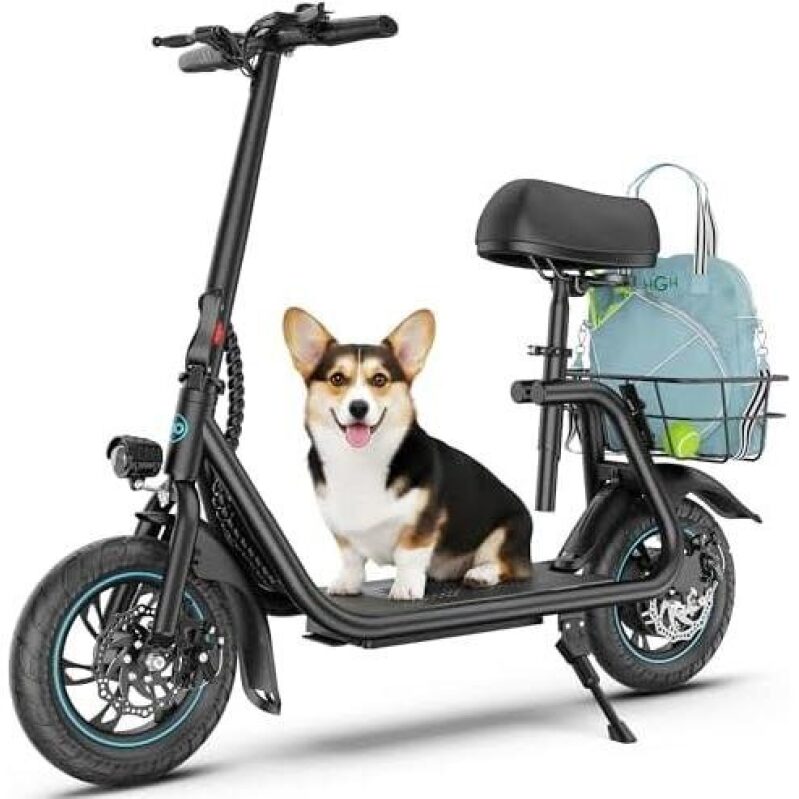 Affordable Folding E-Scooter with Seat - 450W Motor, 20 Miles Range