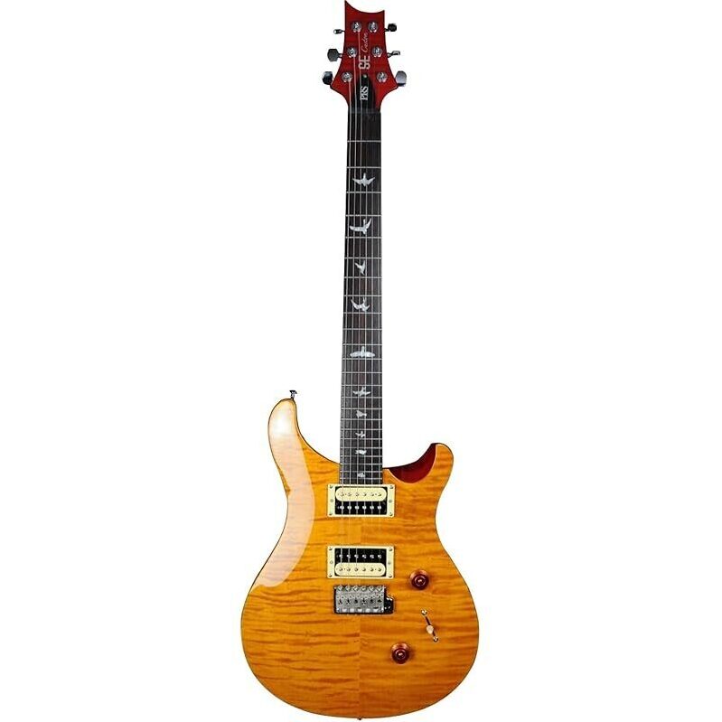 PRS SE Custom 24 Exclusive - Premium Electric Guitar with Gig Bag