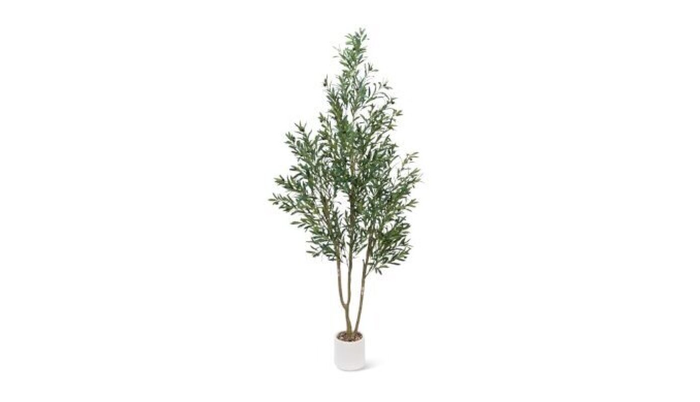 Sillaff 7FT Olive Tree Artificial Plant - Realistic Olive Tree with Fruits for Indoor Decoration