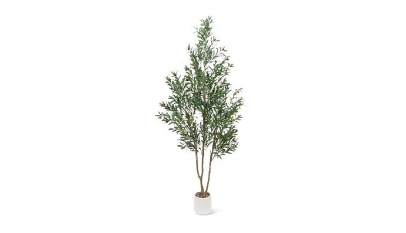 Sillaff 7FT Olive Tree Artificial Plant - Realistic Olive Tree with Fruits for Indoor Decoration