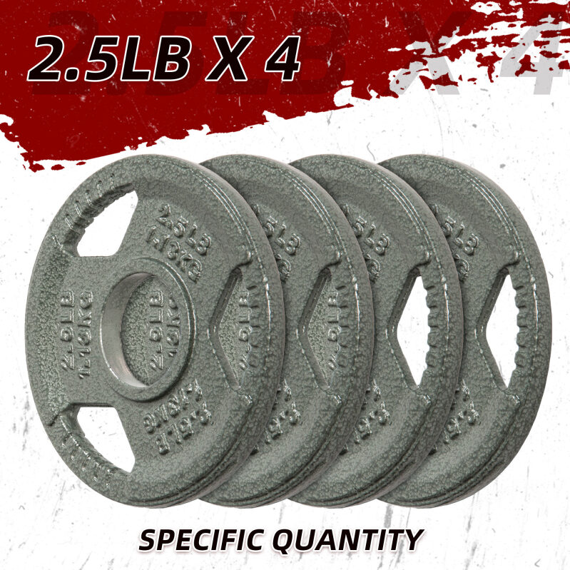 4pk Cast Iron Weight Plates for Strength Training - 2.5lb Each