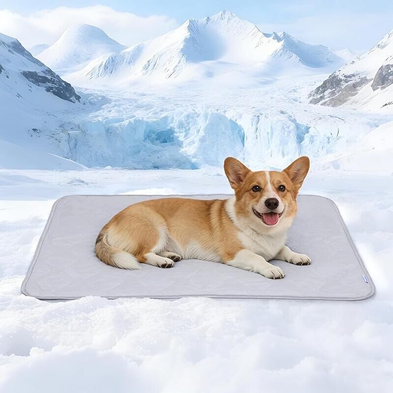 Premium Cooling Blanket for Pets by ZAKAPAWS - Stay Cool Anywhere
