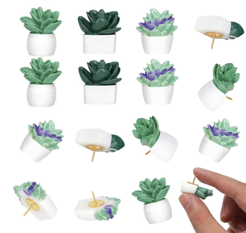 Affordable and Durable Succulent Pins - 20 Pack