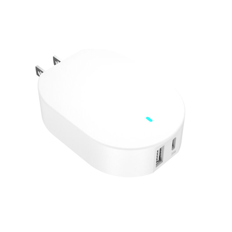 Efficient 32W Dual USB-C and USB-A Wall Charger - Onn