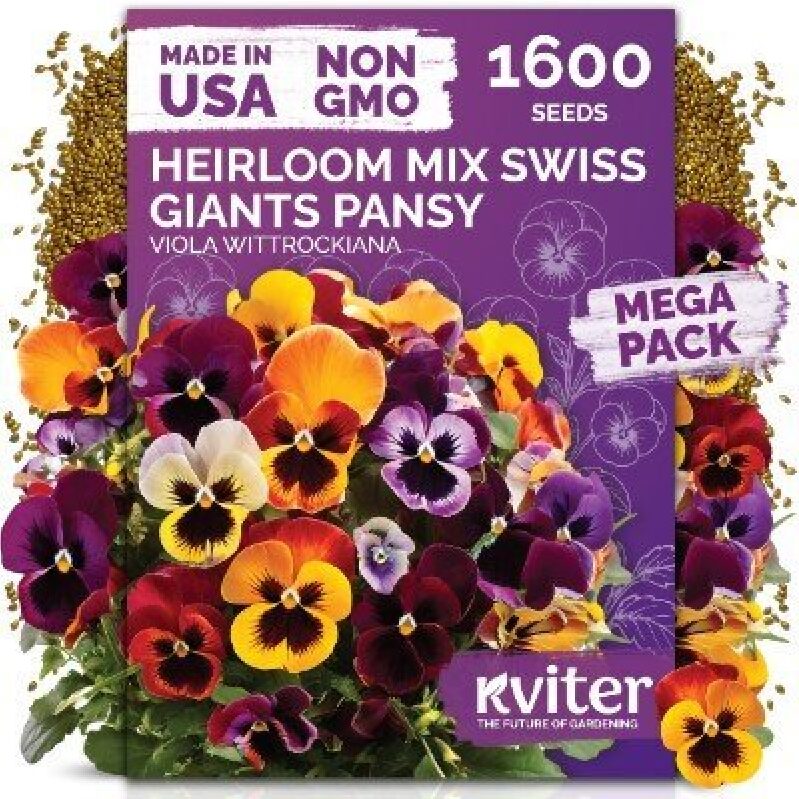 Kviter Swiss Giants Mix Pansy Seeds - 1600 Heirloom Seeds